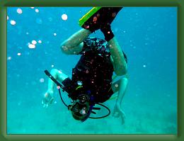 Seabase Scuba 2012 (59) * 1024 x 768 * (379KB)